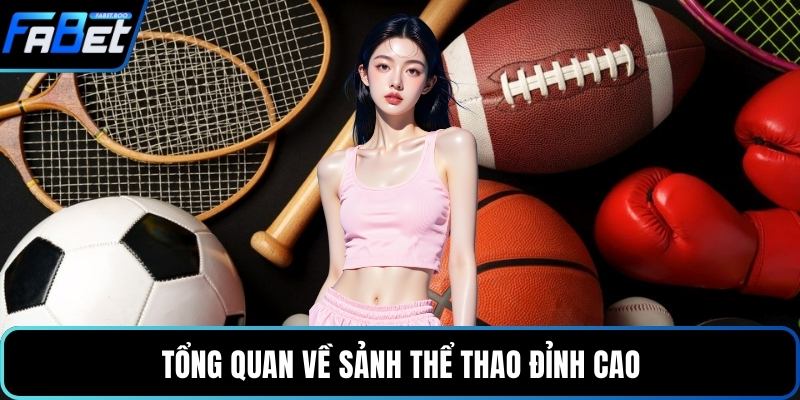 Tổng quan về sảnh thể thao đỉnh cao